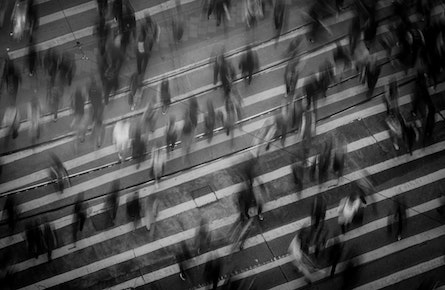 Addiction Research Across the Translational Spectrum