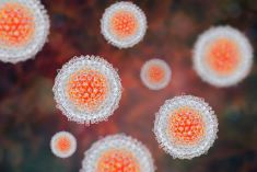 What is the long-term effect of direct antiviral agents for Hepatitis C? A causal inference approach using ‘big data’